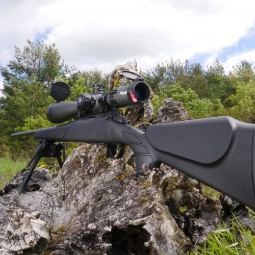Arme ideale pentru vanatoarea de mistreti: Criterii si recomandari