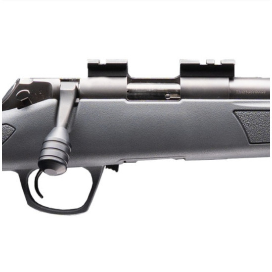Carabina CVA Rimfire Basic Carabina CVA Rimfire Basic